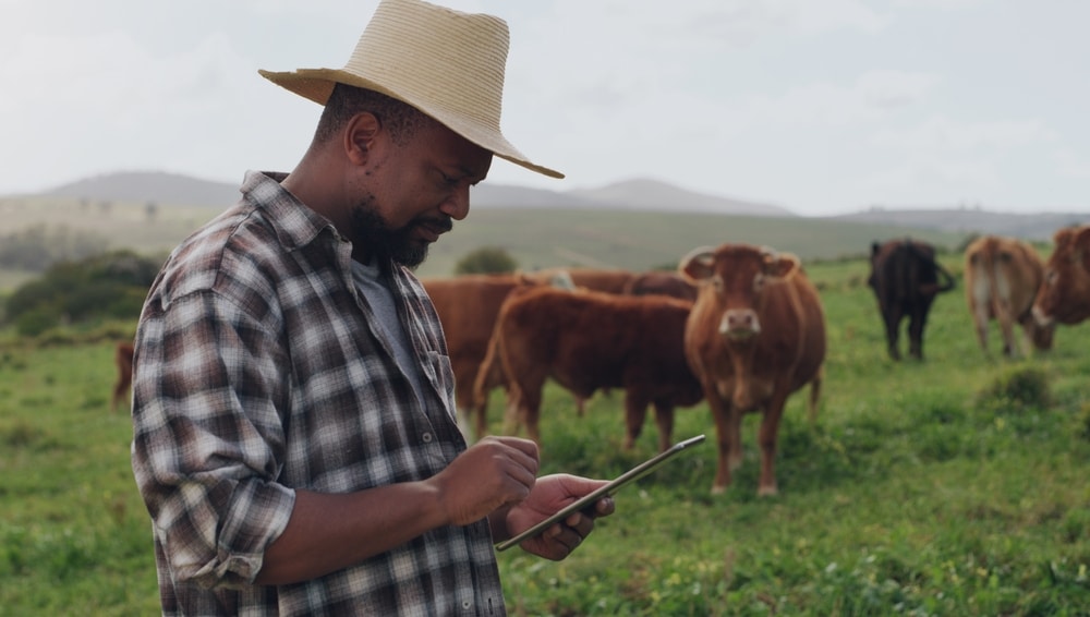 Racism: an ongoing problem for Black farmers